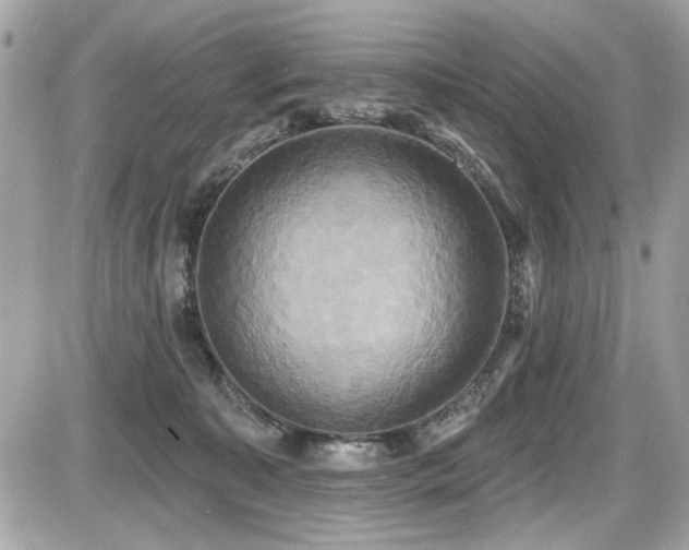 X0000087700323200705041109
