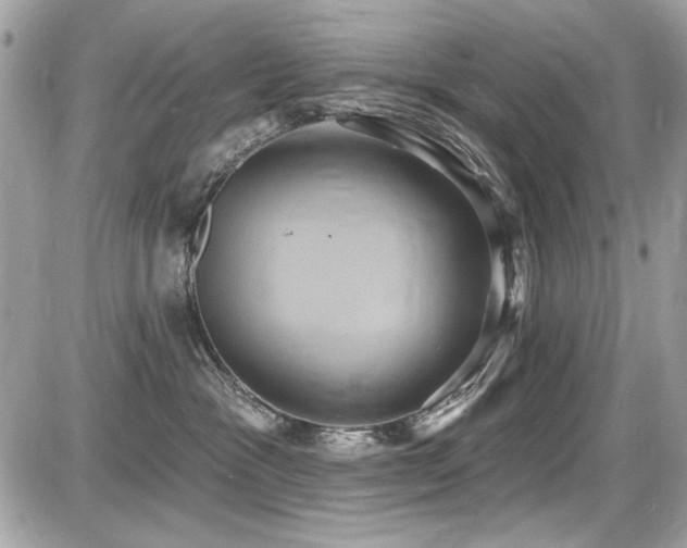 X0000087700333200705041109