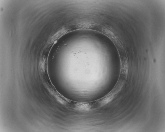 X0000087700334200705041109