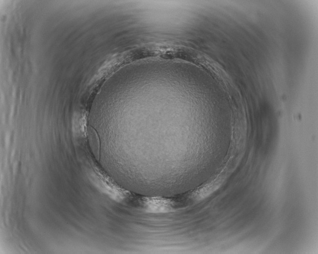 X0000087700336200705041109