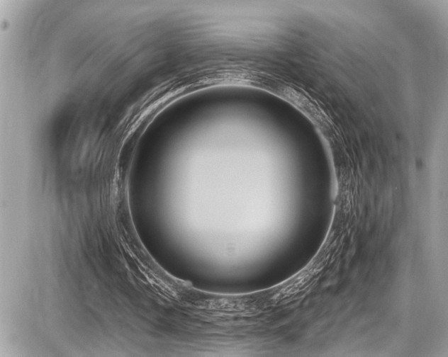 X0000087700338200705041108