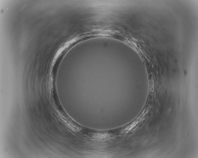 X0000087700342200705041108