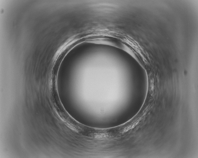 X0000087700344200705041108