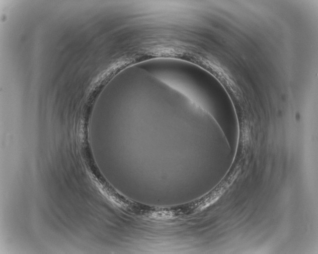 X0000087700353200705041109