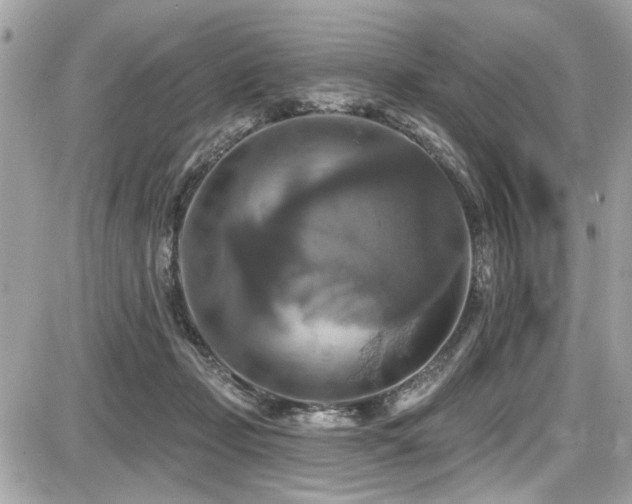 X0000087700365200705041109