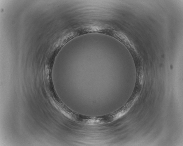 X0000087700366200705041109