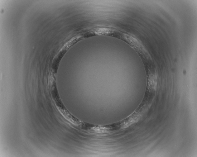 X0000087700367200705041109