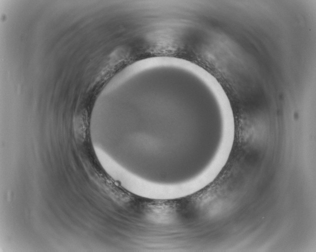 X0000087700370200705041109