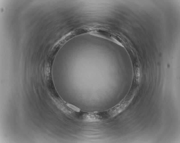 X0000087700372200705041109