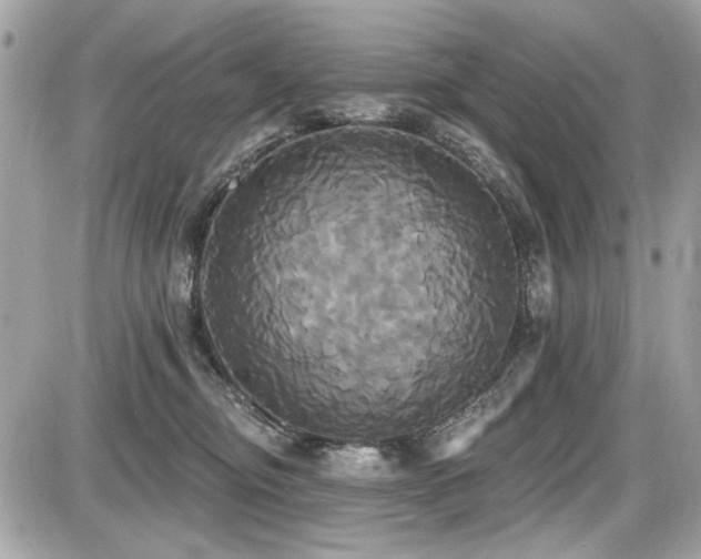 X0000087700374200705041109