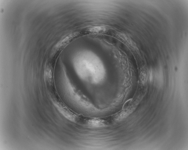 X0000087700375200705041109