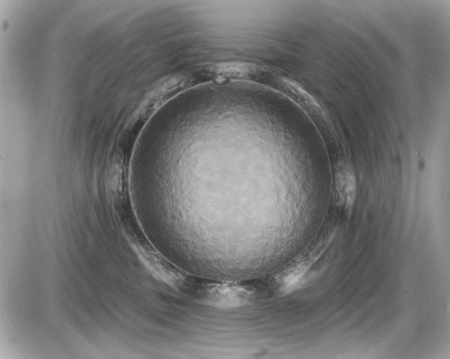 X0000087700379200705041109