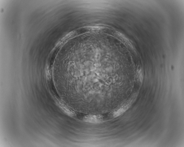 X0000087700381200705041109