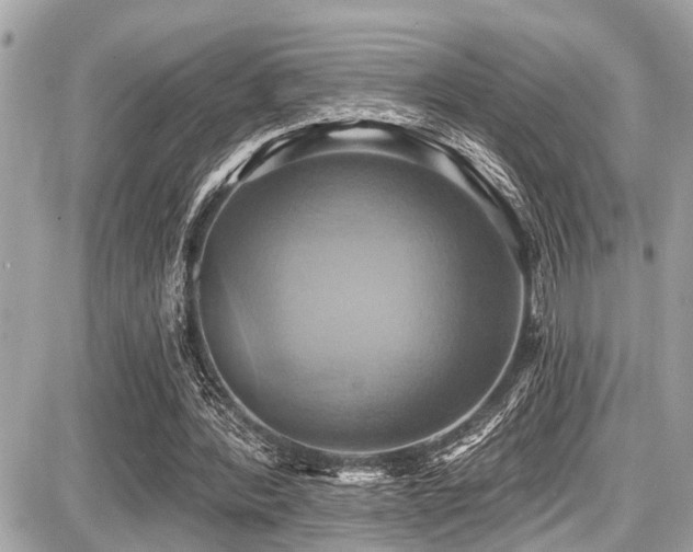 X0000087700388200705041108