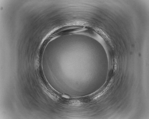 X0000087700392200705041108