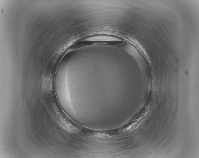 X0000087700393200705041108