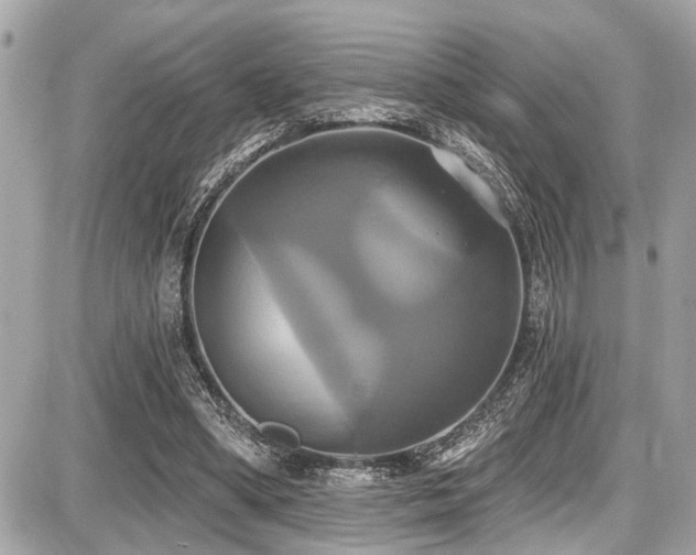 X0000087700394200705041108