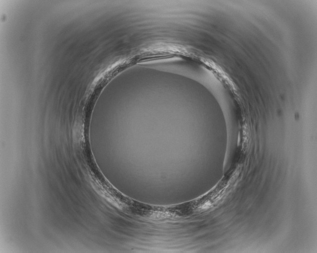 X0000087700399200705041108