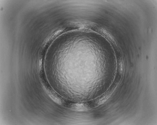 X0000087700406200705041108