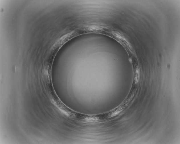 X0000087700415200705041108