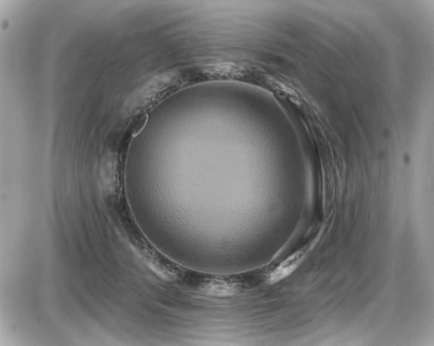 X0000087700416200705041108