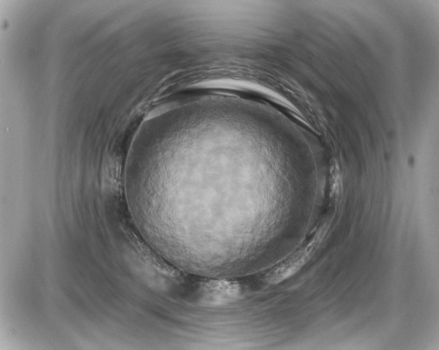 X0000087700421200705041108