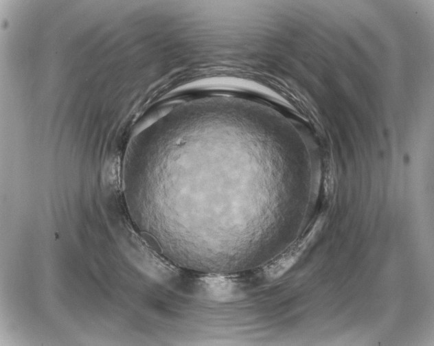 X0000087700425200705041108
