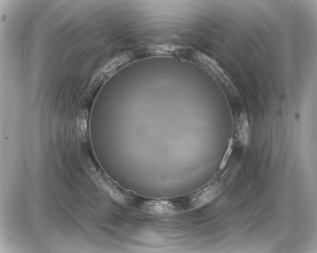 X0000087700427200705041108