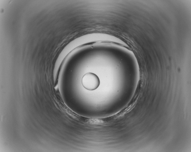 X0000087700429200705041108