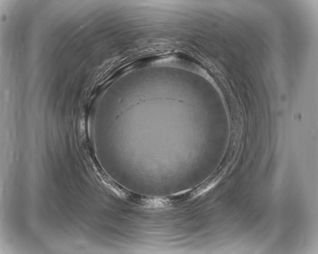 X0000087700432200705041108