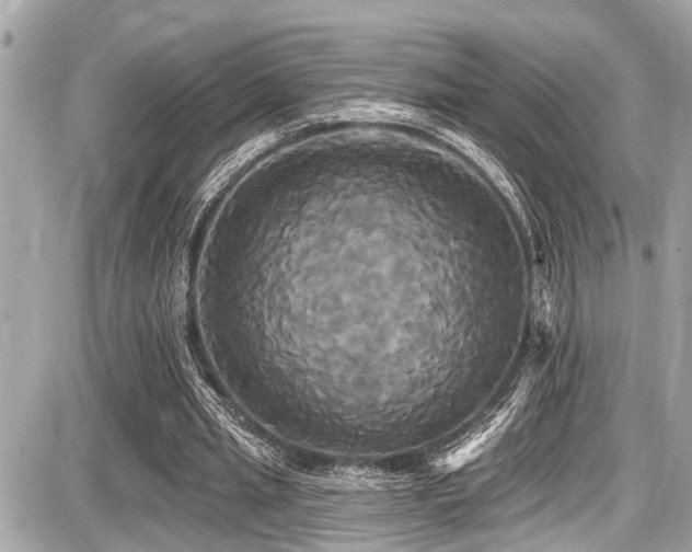 X0000087700437200705041107