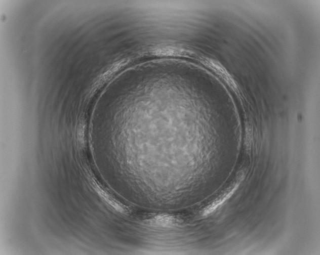 X0000087700441200705041107
