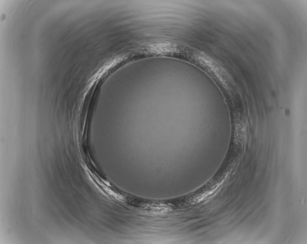 X0000087700443200705041107