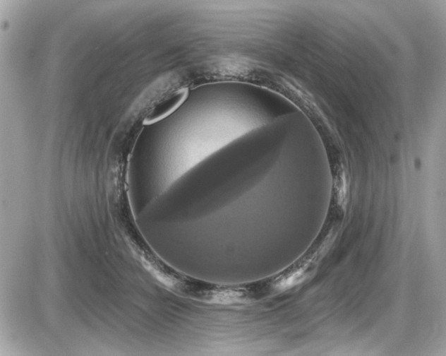 X0000087700462200705041107
