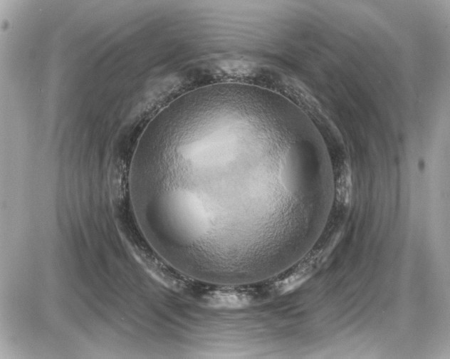 X0000087700464200705041107