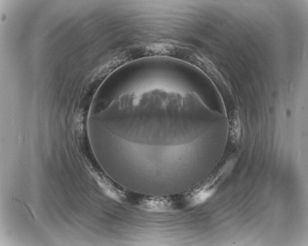 X0000087700466200705041107