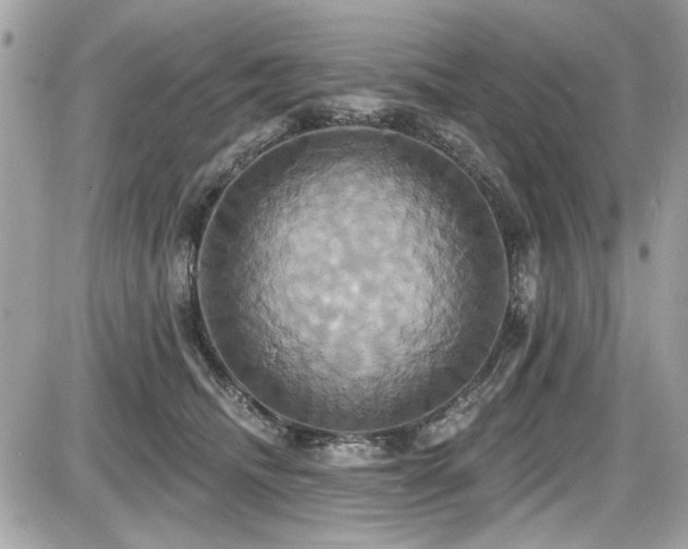 X0000087700468200705041107