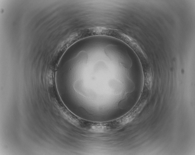 X0000087700470200705041107