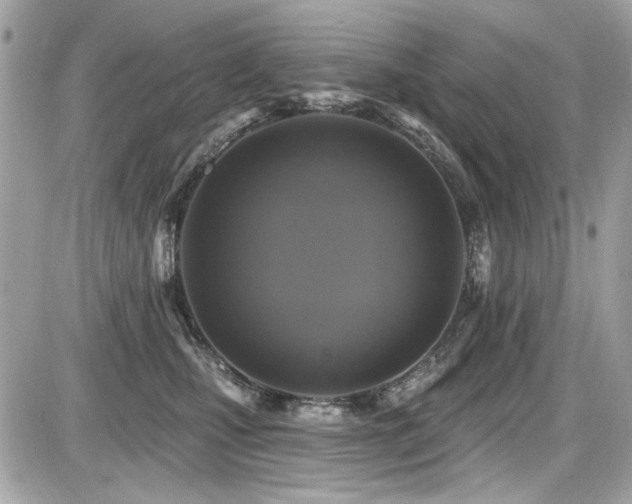 X0000087700471200705041107
