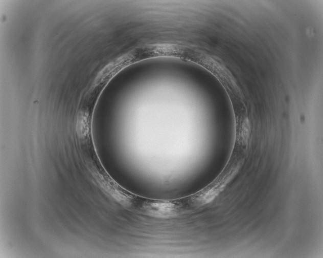 X0000087700478200705041107
