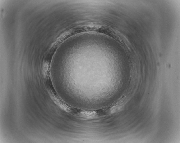 X0000087700480200705041107