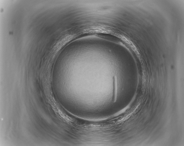 X0000087700481200705041107