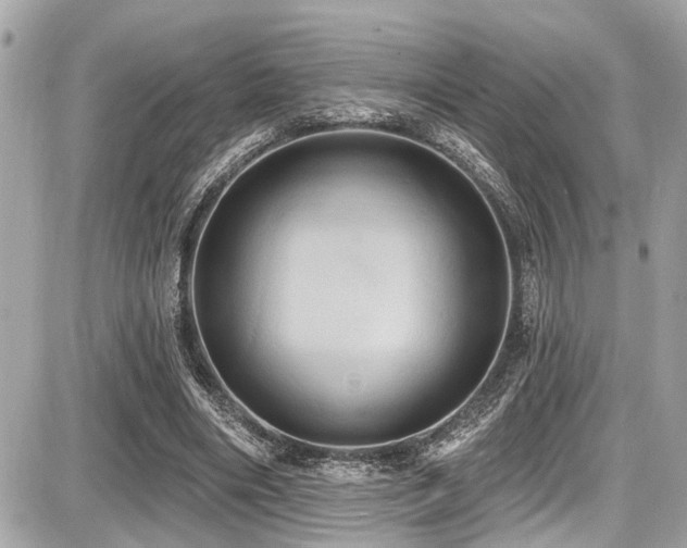 X0000087700490200705041107