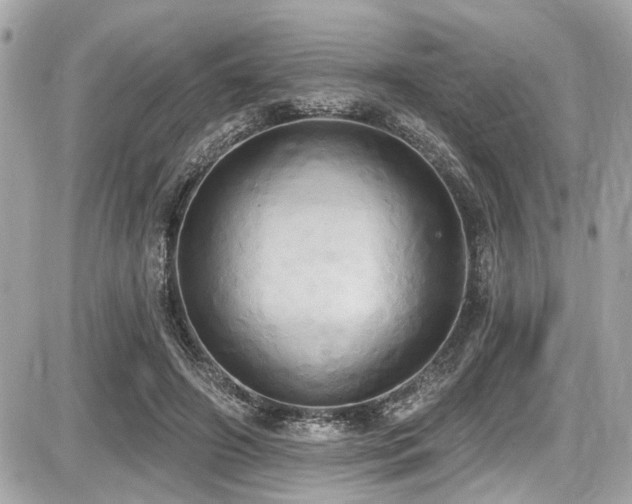 X0000087700498200705041106