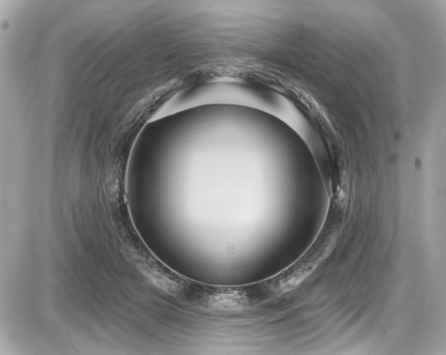 X0000087700505200705041106