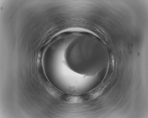 X0000087700507200705041106
