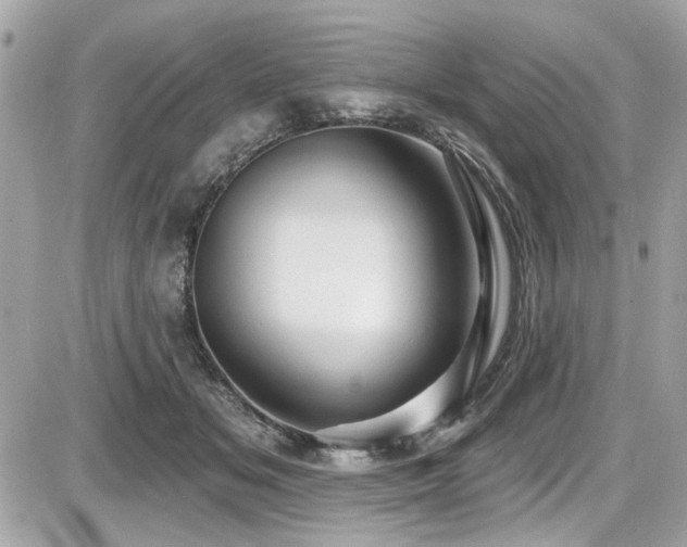 X0000087700509200705041106