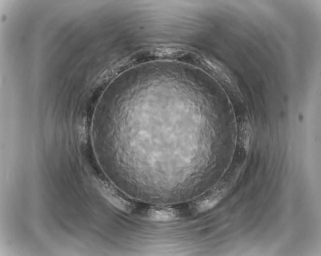 X0000087700510200705041106