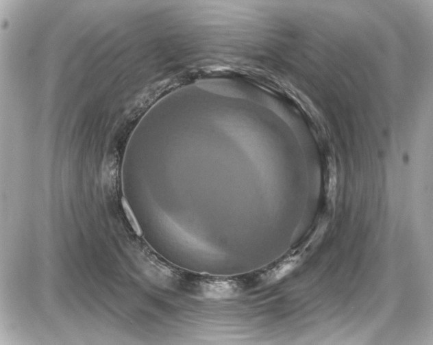X0000087700513200705041106