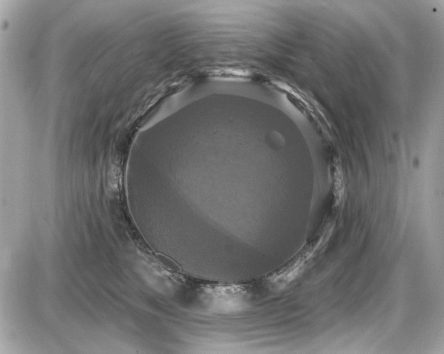 X0000087700517200705041106